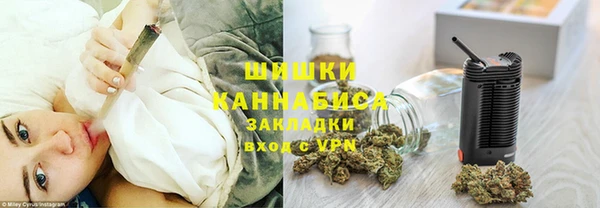 PSILOCYBIN Новокубанск