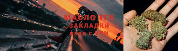 хмурый Новозыбков