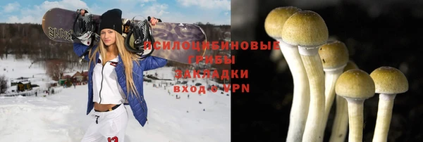 PSILOCYBIN Новокубанск