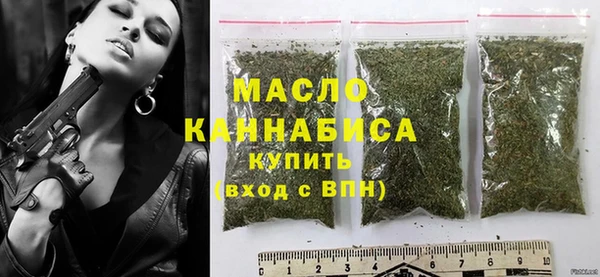 хмурый Новозыбков