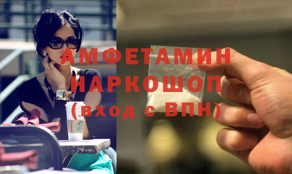 хмурый Новозыбков