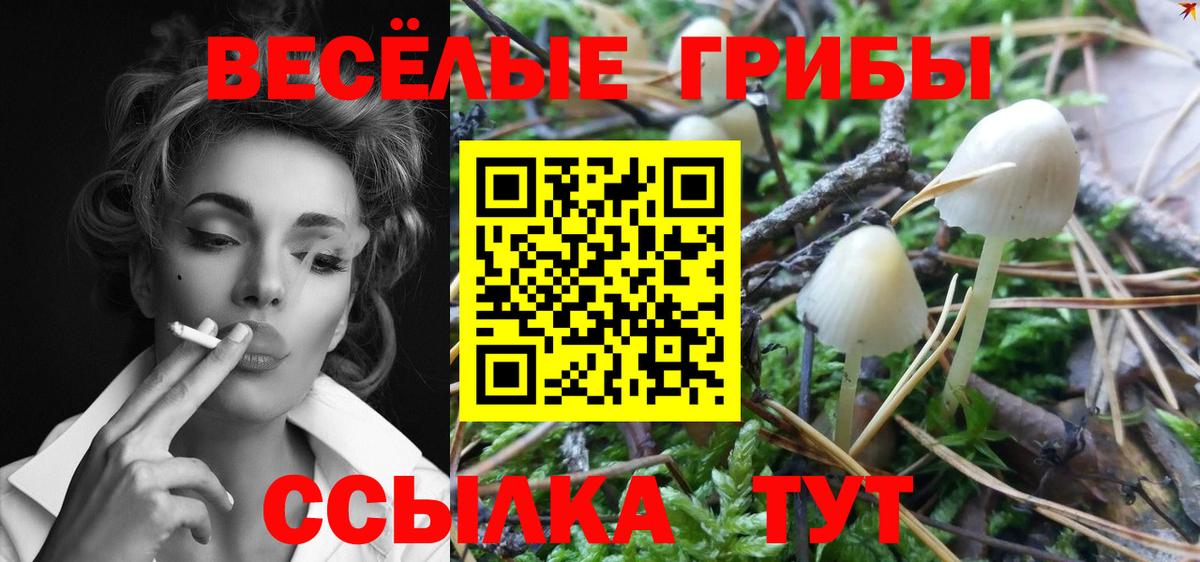 Псилоцибиновые грибы прущие грибы  Вход с VPN  Асбест 