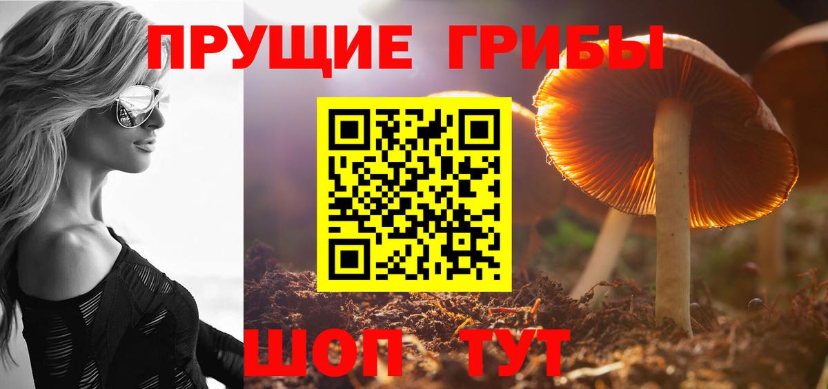 Галлюциногенные грибы Psilocybine cubensis  Асбест 